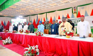 APC ELECTS YILWATDA AS NEW CHAIRMAN, AS PRESIDENT TINUBU URGES GOVERNORS TO DEEPEN GRASSROOTS ENGAGEMENT
