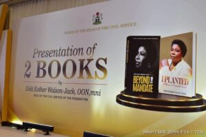 How I mentored Didi Walson-Jack