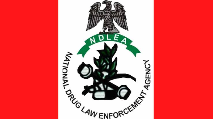 Lagos: NDLEA Recovers N1.042billion Illicit Drug Consignments in Hotel