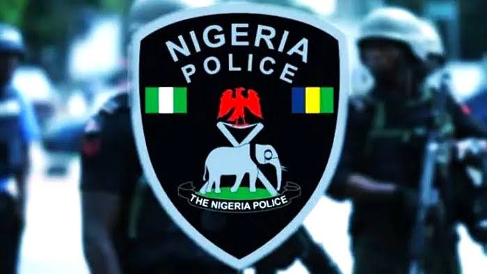 Insecurity: Police speaks on Influx of Northerners into Lagos, Southern Nigeria