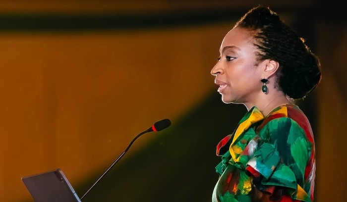 FG Pegs Public Interest Entities Annual Dues at ₦25 million