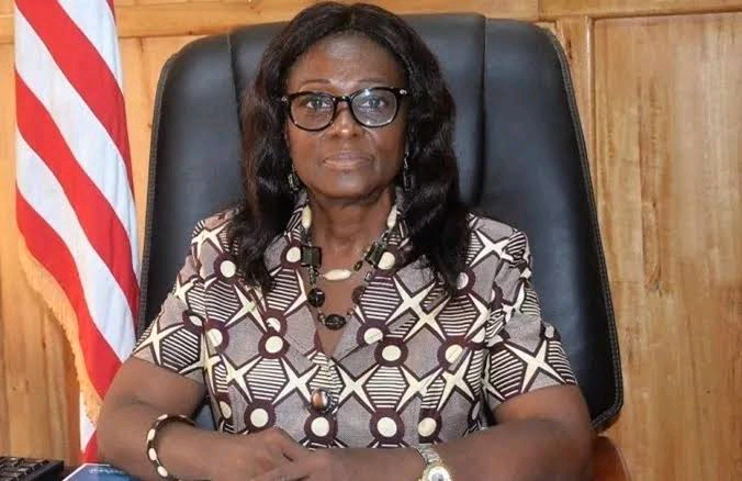 Nigeria’s 2023 election experience vital for W’Africa, says ECOWAS mission