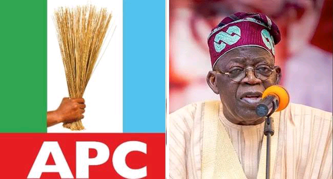 APC ELECTS YILWATDA AS NEW CHAIRMAN, AS PRESIDENT TINUBU URGES GOVERNORS TO DEEPEN GRASSROOTS ENGAGEMENT