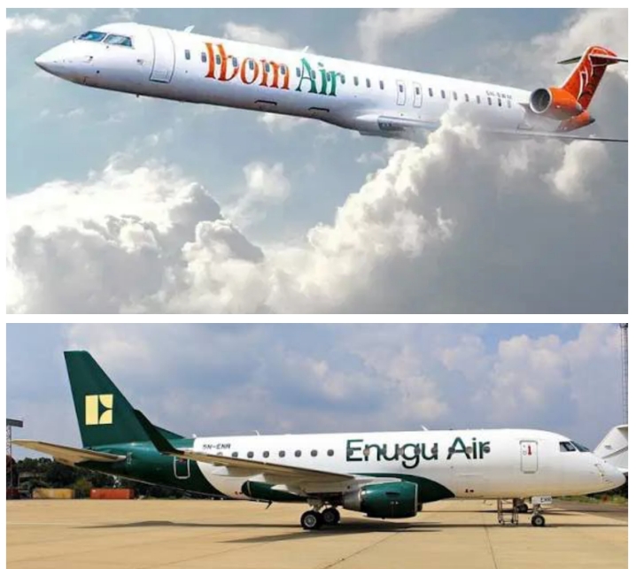 State governments in aviation business