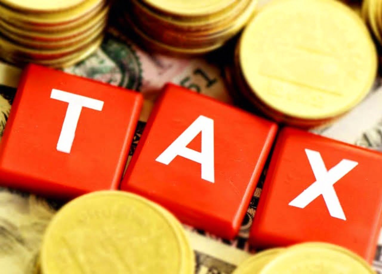 NESG: 2025 Tax Reform Acts to Birth Transparent Tax System if Implemented Well