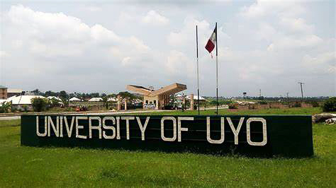 Daunting challenges await new UniUyo VC