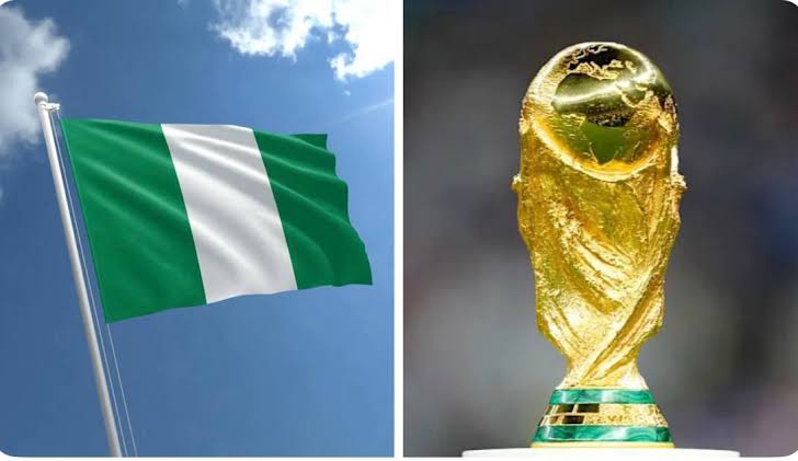 2026 World Cup: The pain of Nigeria’s poor performance