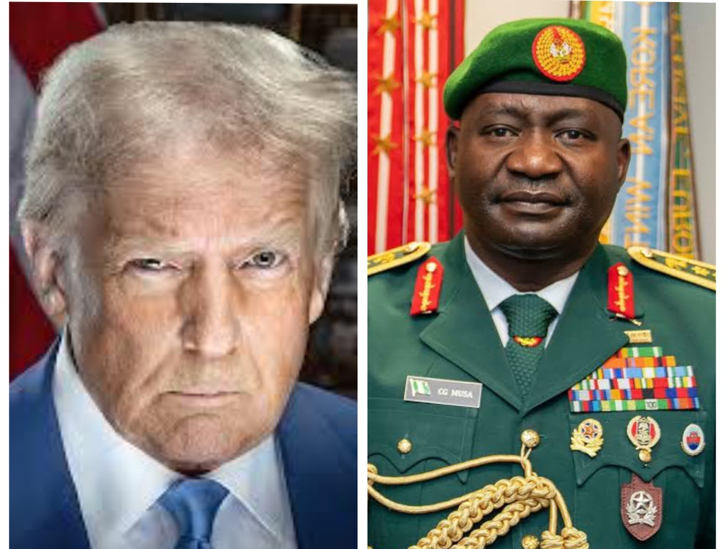 Trump Effect in Gen. Musa’s Ministerial Appointment