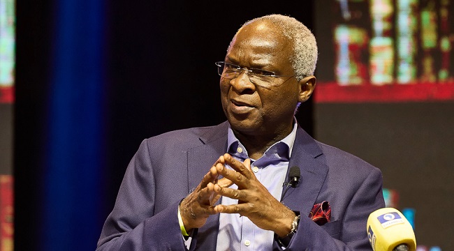 Visa restrictions: Nigeria should assert its position, not beg, Fashola says