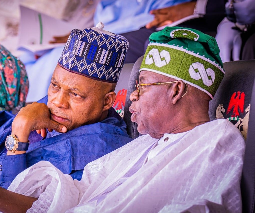 The Importance Of Kashim Shettima