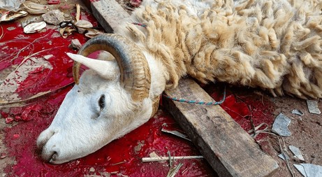 Eid And The Epidemic Of Empty Pockets