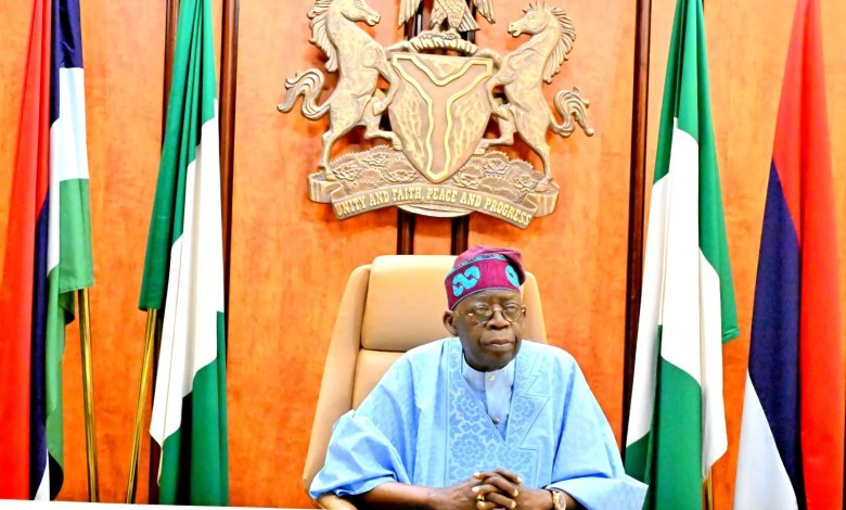 Terror-related deaths down 81%, 13,000 terrorists neutralised in one year – Tinubu