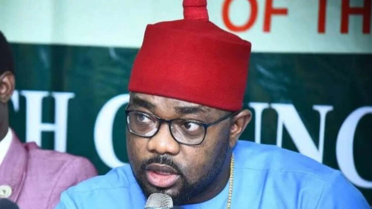 Opposition lawmakers back Ugochinyere for Reps' minority leader