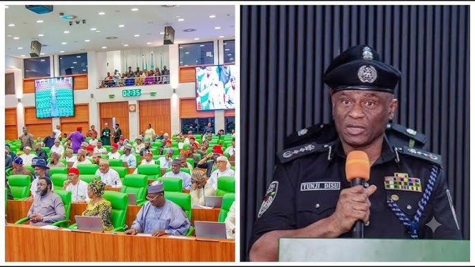 Fake council probe: Why we can't produce Adeyemi before Reps panel – IGP