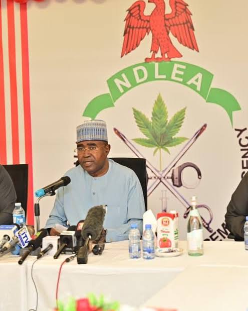 NDLEA dismantles major cocaine cartel