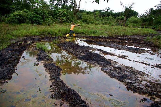 Senate Passes Bill to Jail Oil Polluters, Impose Heavier Fine